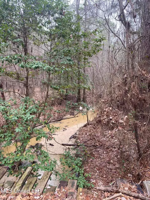 94 Acres Everett Rd, Hickory, MS 39332 photo 22