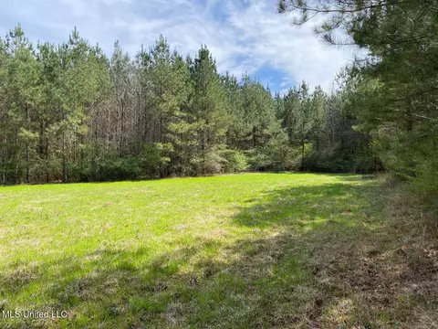 94 Acres Everett Rd, Hickory, MS 39332