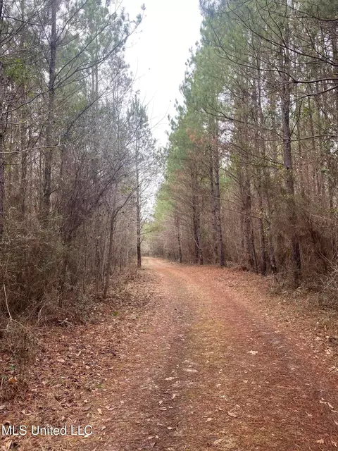 94 Acres Everett Rd, Hickory, MS 39332 photo 34