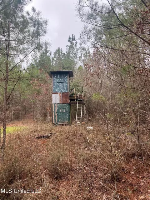 94 Acres Everett Rd, Hickory, MS 39332 photo 38