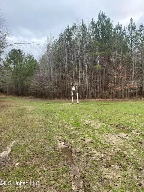 94 Acres Everett Rd, Hickory, MS 39332 photo 30