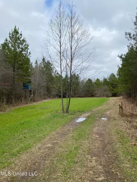 94 Acres Everett Rd, Hickory, MS 39332 photo 9