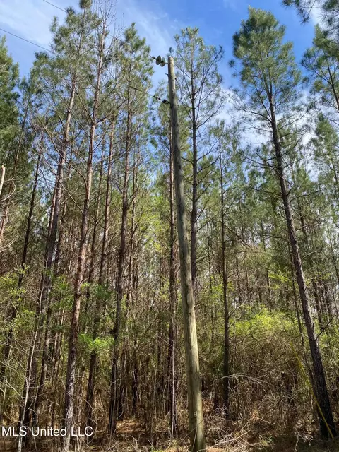 94 Acres Everett Rd, Hickory, MS 39332 photo 2