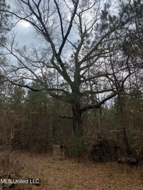 94 Acres Everett Rd, Hickory, MS 39332 photo 21