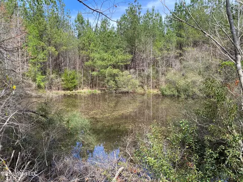94 Acres Everett Rd, Hickory, MS 39332 photo 7
