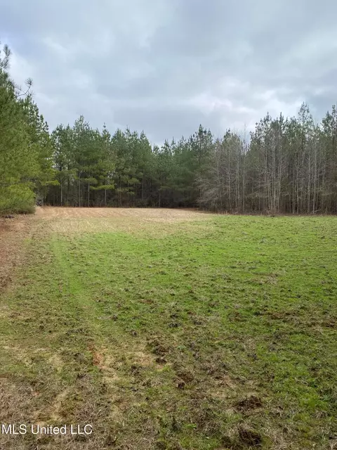 94 Acres Everett Rd, Hickory, MS 39332 photo 20