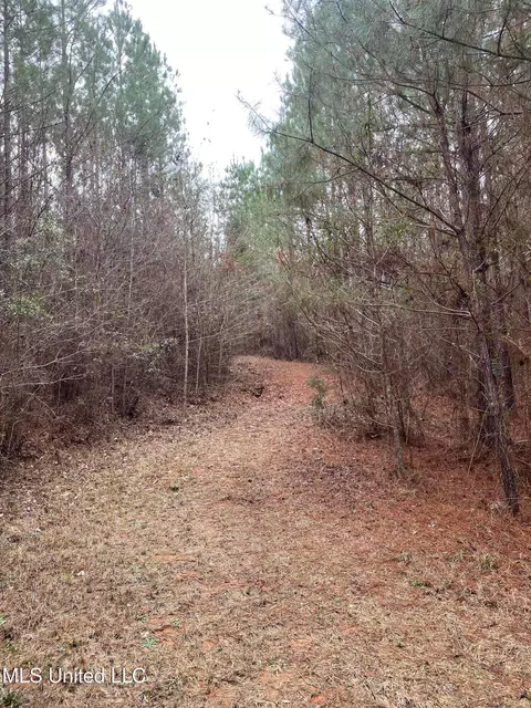 94 Acres Everett Rd, Hickory, MS 39332 photo 15