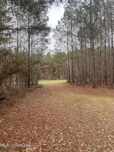 94 Acres Everett Rd, Hickory, MS 39332 photo 33