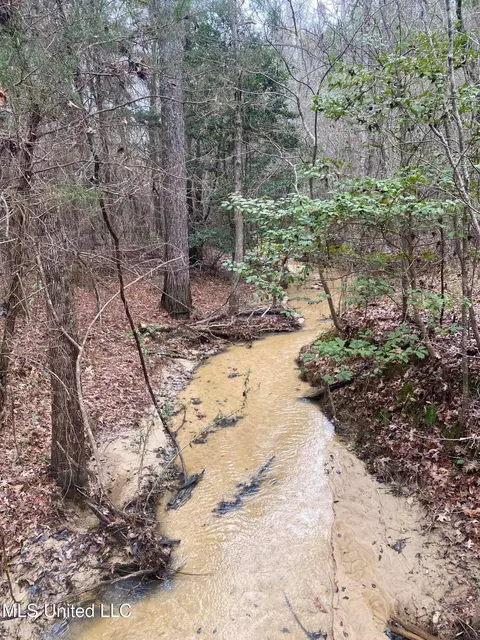 94 Acres Everett Rd, Hickory, MS 39332 photo 23