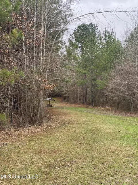 94 Acres Everett Rd, Hickory, MS 39332 photo 31