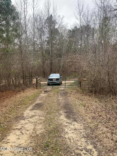 94 Acres Everett Rd, Hickory, MS 39332 photo 43