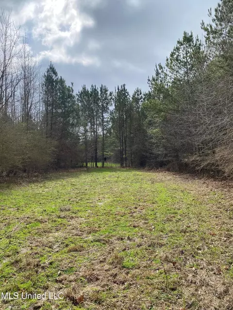 94 Acres Everett Rd, Hickory, MS 39332 photo 17