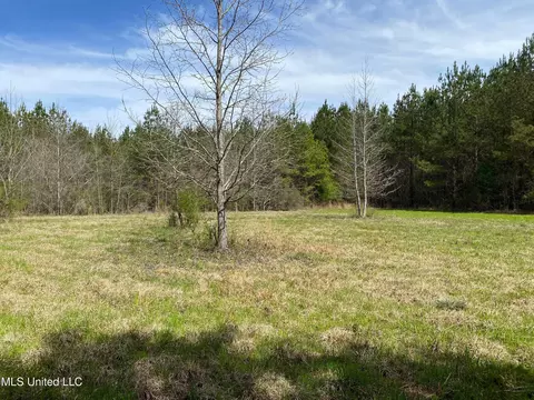 94 Acres Everett Rd, Hickory, MS 39332 photo 5