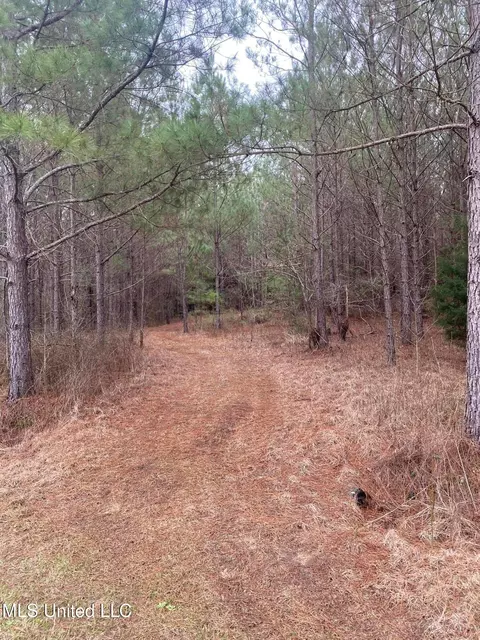 94 Acres Everett Rd, Hickory, MS 39332 photo 39