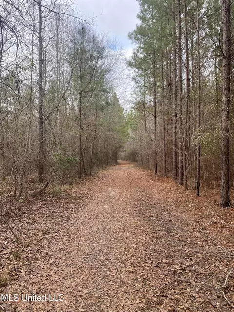 94 Acres Everett Rd, Hickory, MS 39332 photo 26