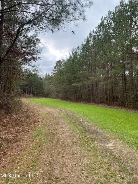 94 Acres Everett Rd, Hickory, MS 39332 photo 10