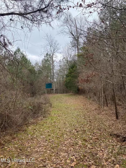 94 Acres Everett Rd, Hickory, MS 39332 photo 11