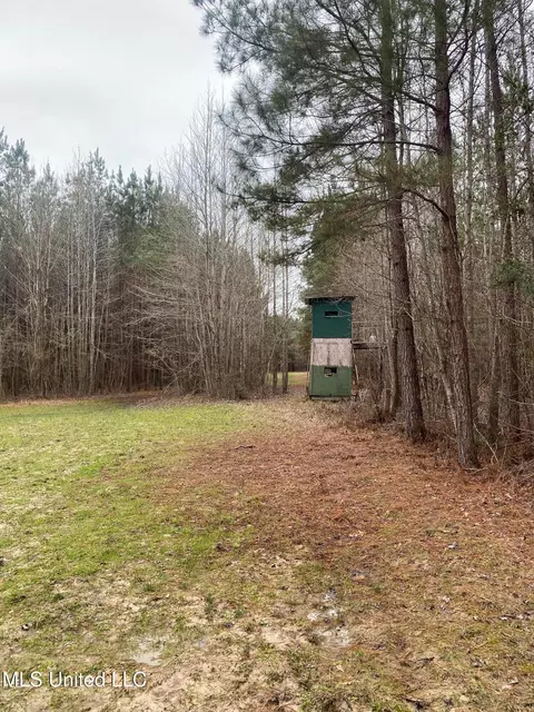 94 Acres Everett Rd, Hickory, MS 39332 photo 29