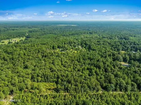 Forest Lake Road, Beaumont, MS 39423