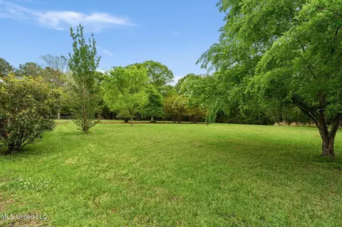 Exterior - 41 Todd Rd, Sumrall, MS 39482 photo 13 of 15