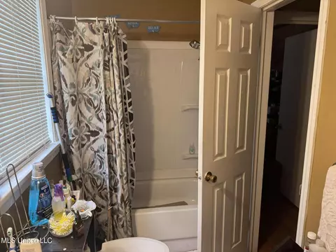 Bath - 3923 Azalea Dr, Jackson, MS 39206 photo 1 of 1