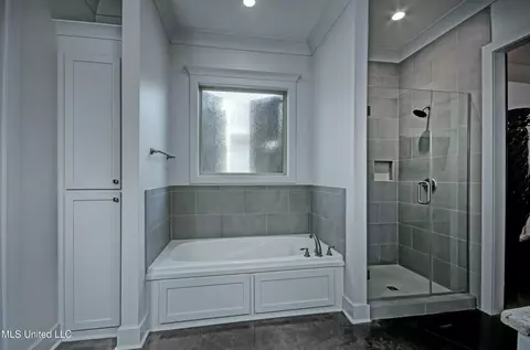 Bath - 421 Ashleigh Ct, Brandon, MS 39042 photo 3 of 7