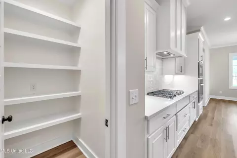 Entry Way - 804 Trawler Cir, Brandon, MS 39047 photo 4 of 7