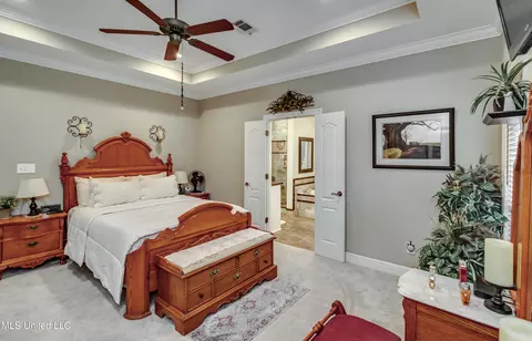222 Ashton Way, Brandon, MS 39047 photo 22