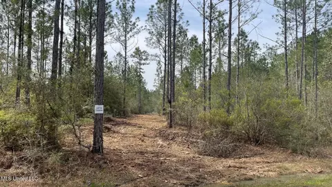 Herman Ladner Road, Saucier, MS 39574