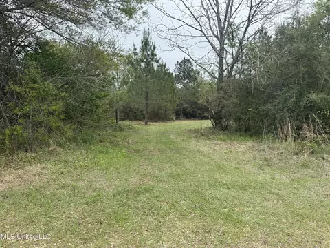Beartown Road, Jayess, MS 39641