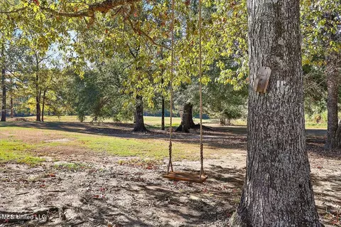 Exterior - 308 Partridge Cv, Brandon, MS 39047 photo 16 of 20