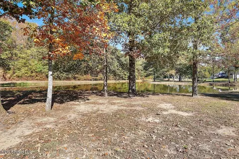 Other - 308 Partridge Cv, Brandon, MS 39047 photo 6 of 16