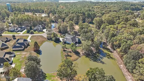 View/Area - 308 Partridge Cv, Brandon, MS 39047 photo 3 of 5