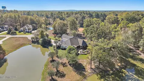 View/Area - 308 Partridge Cv, Brandon, MS 39047 photo 4 of 5