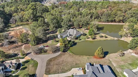View/Area - 308 Partridge Cv, Brandon, MS 39047 photo 2 of 5