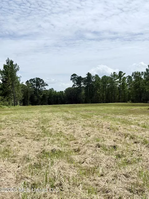 Hwy 613, Lucedale, MS 39452 photo 4