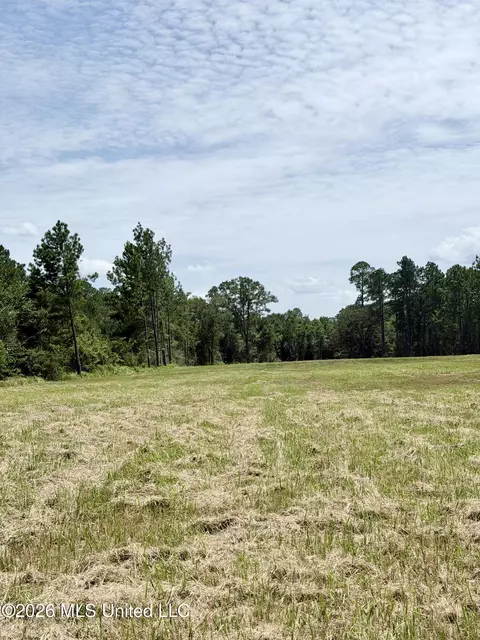 Hwy 613, Lucedale, MS 39452 photo 2