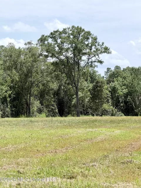 Hwy 613, Lucedale, MS 39452 photo 3