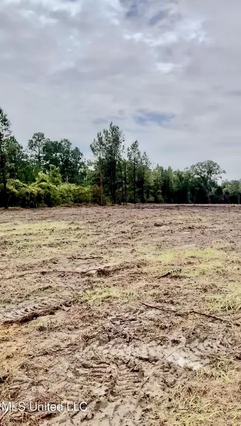Hwy 613, Lucedale, MS 39452