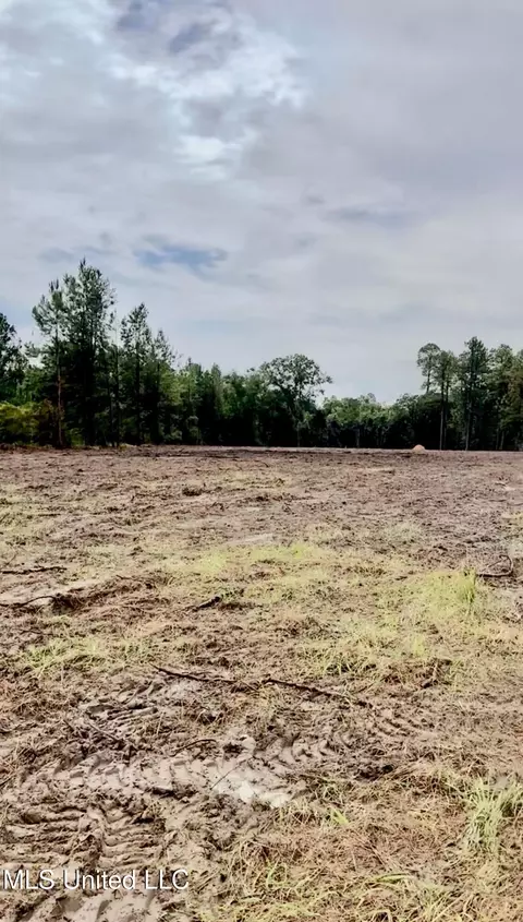 Hwy 613, Lucedale, MS 39452 photo 2