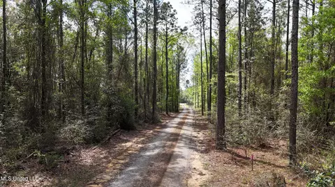 Other - 7401 N Creek Rd, Lucedale, MS 39452 photo 2 of 6