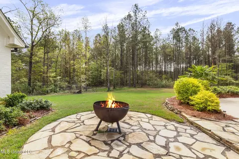 Exterior - 205 Stump Ridge Rd, Brandon, MS 39047 photo 19 of 24