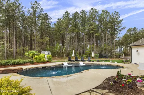 Exterior - 205 Stump Ridge Rd, Brandon, MS 39047 photo 18 of 24
