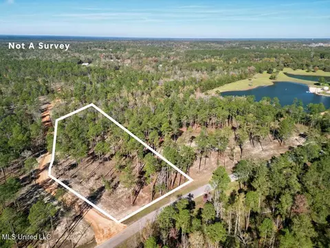 3 81 Acre Cowart Holliday Rd, Poplarville, MS 39470