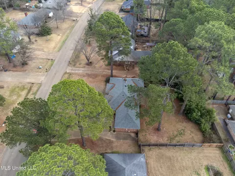 View/Area - 146 Sumac Dr, Madison, MS 39110 photo 1 of 5