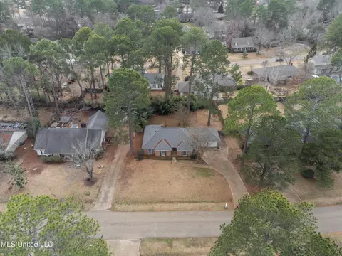 View/Area - 146 Sumac Dr, Madison, MS 39110 photo 2 of 5