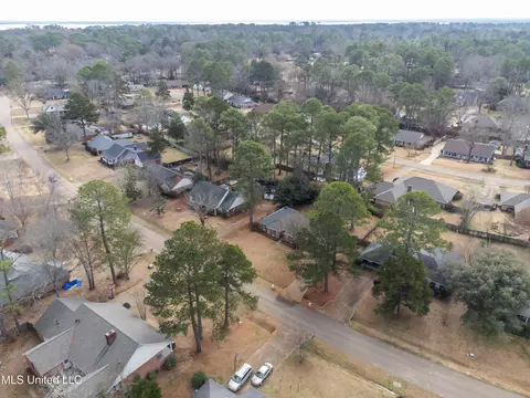 View/Area - 146 Sumac Dr, Madison, MS 39110 photo 5 of 5