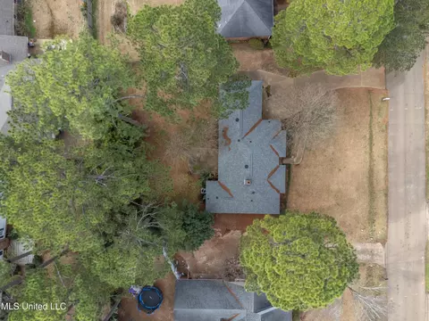 View/Area - 146 Sumac Dr, Madison, MS 39110 photo 4 of 5