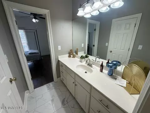 Bath - 117 Peninsula Dr, Brandon, MS 39047 photo 12 of 14