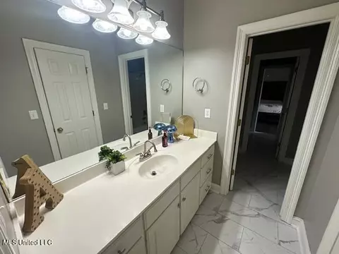 Bath - 117 Peninsula Dr, Brandon, MS 39047 photo 13 of 14